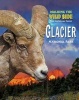 Glacier (Hardcover) - Claire ONeal Photo