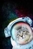 Astronaut Cat in Space Journal - 150 Page Lined Notebook/Diary (Paperback) - Cool Image Photo