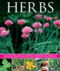 Herbs - An Illustrated Guide to Varieties, Cultivation and Care, with Step-by-step Instructions and Over 160 Beautiful Photographs (Paperback) - Susie White Photo