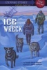 Ice Wreck (Paperback) - Lucille Recht Penner Photo