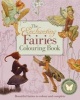 The Enchanting Fairies Colouring Book (Paperback) - Margaret Tarrant Photo