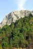 Pine Forest of Sierra de Grazalema Natural Park in Spain Journal - 150 Page Lined Notebook/Diary (Paperback) - Cool Image Photo