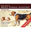 Color Atlas of Small Animal Anatomy - The Essentials (Paperback, Revised edition) - Thomas O McCracken Photo