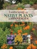 Landscaping with Native Plants of Minnesota (Paperback, New Edition, Ne) - Lynn M Steiner Photo