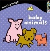 Baby Animals - Amazing Baby (Board book) - Emma Dodd Photo