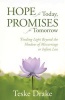 Hope for Today, Promises for Tomorrow - Finding Light Beyond the Shadow of Miscarriage or Infant Loss (Paperback) - Teske Drake Photo