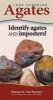 Lake Superior Agates (Pamphlet) - James Magnuson Photo