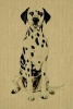 Dalmatian -  Dog Journal/Notebook/Diary (Paperback) - Artified Pets Photo