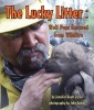 The Lucky Litter - Wolf Pups Rescued from Wildfire (Hardcover) - Jennifer Keats Curtis Photo