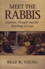 Meet the Rabbis - Rabbinic Thought and the Teachings of Jesus (Paperback) - Brad H Young Photo