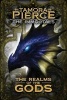 The Realms of the Gods (Paperback) - Tamora Pierce Photo