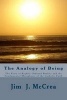 The Analogy of Being - The Form of Rightly Ordered Reality and the Fundamental Metaphysic of the Catholic Faith (Paperback) - Jim J McCrea Photo