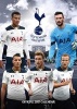 Tottenham Hotspur Official 2017 A3 Calendar (Calendar) -  Photo