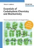 Essentials of Carbohydrate Chemistry and Biochemistry (Paperback, Revised) - Thisbe K Lindhorst Photo