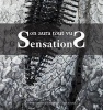 Sensations: On Aura Tout Vu (Paperback) - Lydia Kamitsis Photo