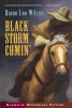 Black Storm Comin' (Paperback) - Diane Lee Wilson Photo