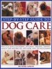 Step-by-step Guide to Dog Care - Practical Advice on Feeding, Grooming, Breeding, Training, Health Care and First Aid, with More Than 300 Photographs (Paperback) - Peter Larkin Photo