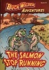 The Salmon Stop Running (Paperback) - Timothy Smith Photo