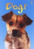 Dogs (Hardcover, New edition) - Emma Helbrough Photo