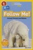 Follow Me! - Animal Parents and Babies (Hardcover) - Shira Evans Photo