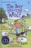 The Boy Who Cried Wolf (Hardcover) - Mairi Mackinnon Photo