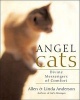 Angel Cats (Paperback) - Linda Anderson Photo