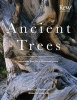 Ancient Trees - Trees That Live for a Thousand Years (Hardcover) - Anna Lewington Photo