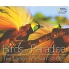 Birds of Paradise - Revealing the World's Most Extraordinary Birds (Hardcover) - Tim Laman Photo