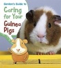 Gordon's Guide to Caring for Your Guinea Pigs (Paperback) - Isabel Thomas Photo