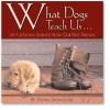 What Dogs Teach Us... - Life's Lessons Learned from Our Best Friends (Hardcover) - Glenn Dromgoole Photo