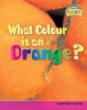 What Colour is an Orange? - Light and Colours (Hardcover) - Tristan Boyer Binns Photo