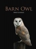 Barn Owl (Hardcover) - David Chandler Photo