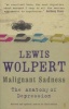 Malignant Sadness - The Anatomy of Depression (Paperback, Main) - L Wolpert Photo