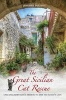 The Great Sicilian Cat Rescue - One English Woman's Mission to Save an Island's Cats (Paperback) - Jennifer Pulling Photo