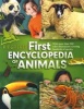 Kingfisher First Encyclopedia of Animals (Paperback) - John Farndon Photo