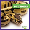 Pythons (Hardcover) - Cari Meister Photo