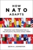 How NATO Adapts - Strategy and Organization in the Atlantic Alliance Since 1950 (Paperback) - Seth A Johnston Photo