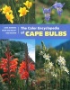 The Color Encyclopedia of Cape Bulbs (Hardcover) - John C Manning Photo