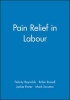 Pain Relief in Labour (Paperback) - Felicity Reynolds Photo