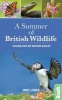 A Summer of British Wildlife - 100 Great Days Out Watching Wildlife (Paperback) - James L Owen Photo