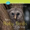 More Baby Birds in the Wild (Paperback) - Damon Calderwood Photo