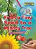 From a Tiny Seed to a Mighty Tree - How Plants Grow (Hardcover) - Ruth Owen Photo