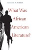 What Was African American Literature? (Paperback) - Kenneth W Warren Photo