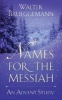 Names for the Messiah - An Advent Study (Paperback) - Walter Brueggemann Photo