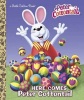 Here Comes Peter Cottontail (Hardcover) - Random House Photo