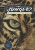 Can You Survive the Jungle? (Paperback) - Allison Lassieur Photo