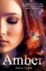 Amber (Paperback) - Julie Sykes Photo