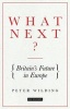 What Next? - Britain's Future in Europe (Paperback) - Peter Wilding Photo