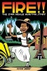 Fire!! - The Zora Neale Hurston Story (Hardcover) - Peter Bagge Photo