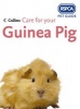 Care for Your Guinea Pig (Paperback, New edition) - Rspca Photo